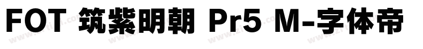 FOT 筑紫明朝 Pr5 M字体转换